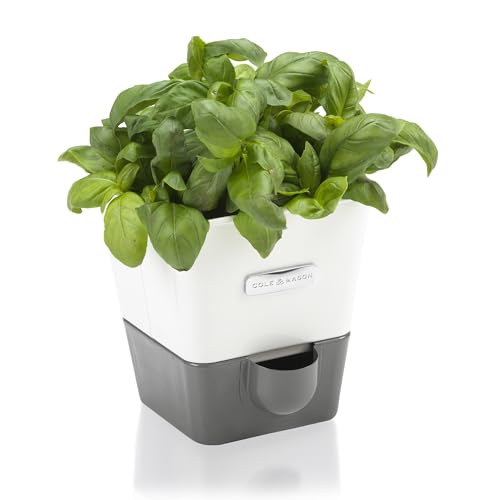 Self Watering Single Potted Herb Keeper (Single Fresh Herb Keeper)