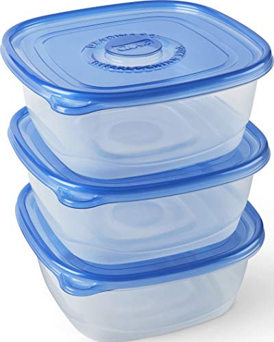 Ware Family Size Food Storage Containers (3 Count (Pack of 1))