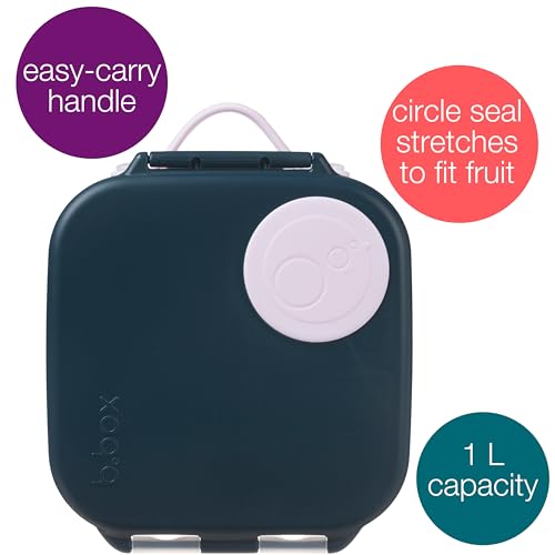 Mini Lunch Box