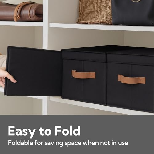 Fabric Storage Bins with Lids (Black / Large)