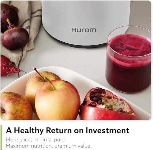 H400 Easy Clean Slow Juicer (Titanium)