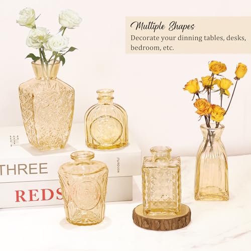 Set of 36 Glass Bud Vases Small Flower Vases for Centerpieces (Champagne)