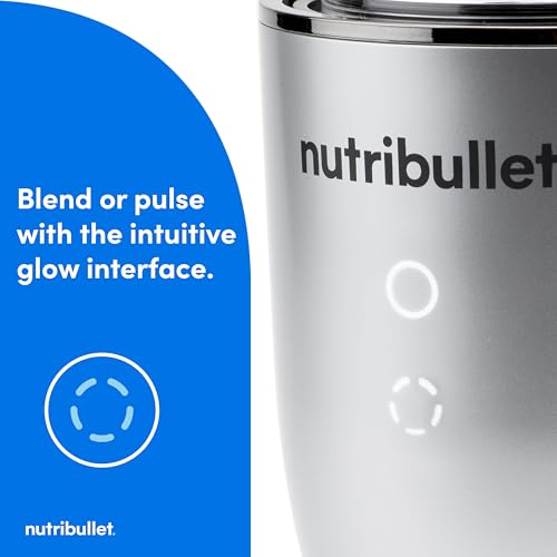 Ultra Deluxe Personal Blender (32 oz / Silver)
