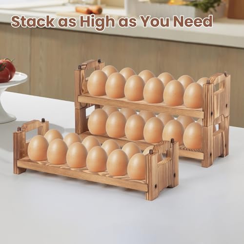 Egg Holder Countertop (36 Count)