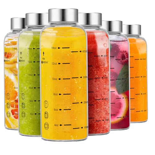 Glass Juice Bottles 6 Pack 16 oz (16 Ounces / 6 Pack Silver Lid)
