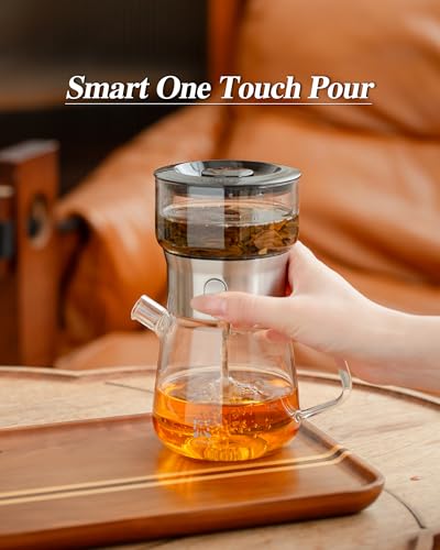 Modern Glass Infuser Pot Set with 2 Cups (10-Black / 13oz-2 Cups)