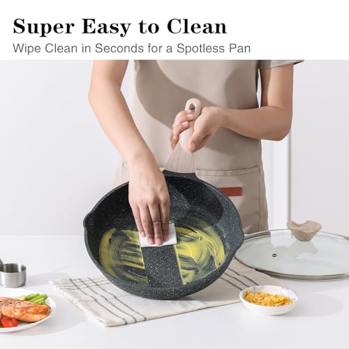 Non Stick Frying Pan Skillet with Lid (Classic Granite / 11 Inch)