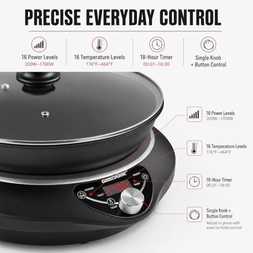 1700W Induction Wok Burner 100