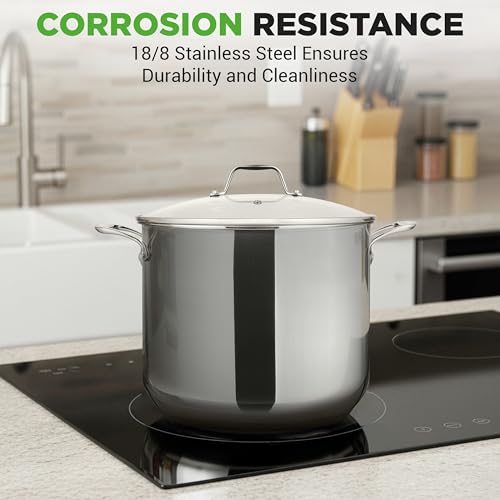 12 Quart Stainless Steel Stock Pot with Lid (Stainless Steel / 12 Quarts)