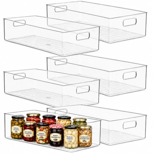 Plastic Food Storage 6 Pack Clear Container Bin with Handles for Organizing Kitchen (20x8x5)