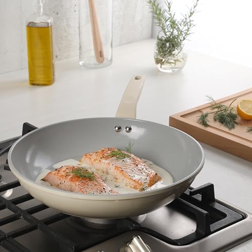 Barnsdall Large 12 Inch Aluminum Fry Pan Cookware Non (12 Inches / Linen)