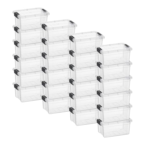 1.05 Quart Mini Clear Plastic Storage Container with Lid (1.05 Quart)