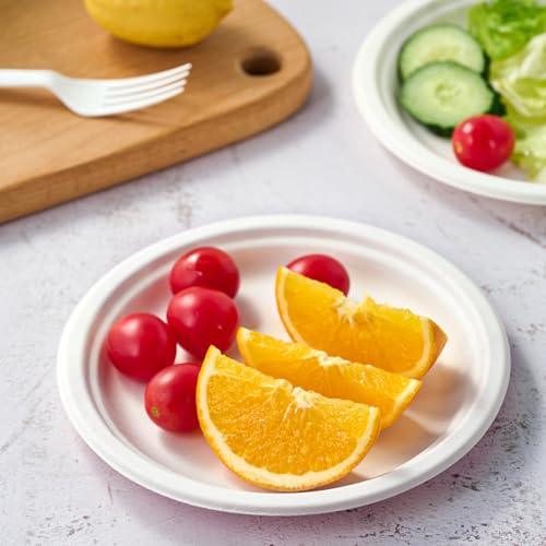 350 Pack Compostable Bagasse Paper Plates 6.9 inch (White / 7 IN Round Plates)