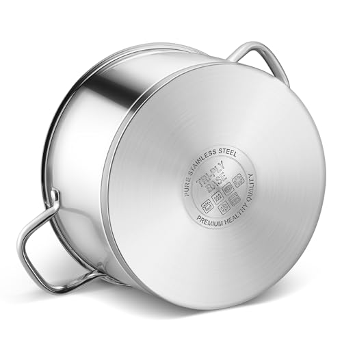 Stainless Steel Stock Pot (8 Quarts)