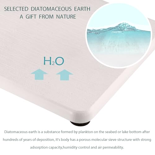 2Pcs Stone Soap Trays Water Absorbing Diatomite Coaster (White / 8.3" x 3.9")