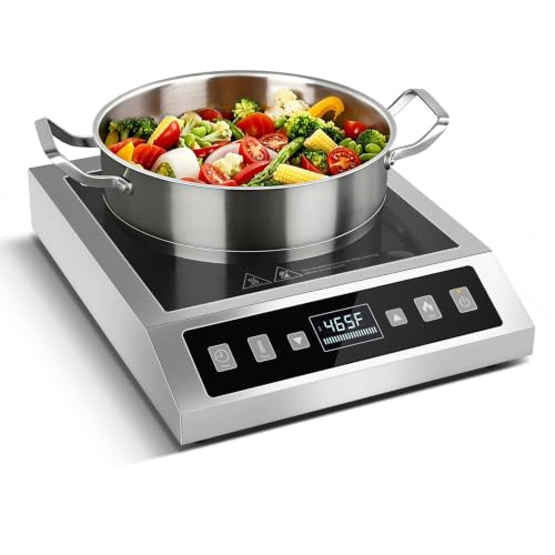 Portable Induction Cooktop 1800W Commercial Burner Stainless Steel (Stainless Steel)
