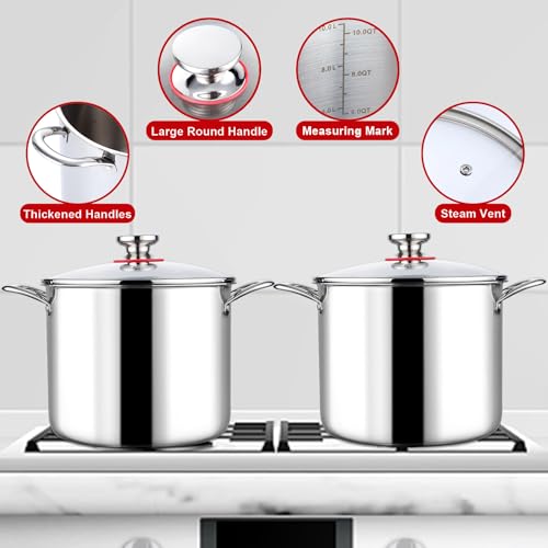 12 QT Stock Pot with Lid (12 Quarts)