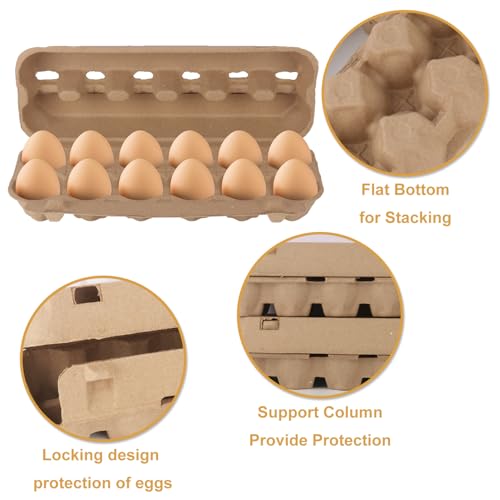 25 Pack Egg Cartons Bulk (Dozen)