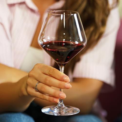 Revolution Burgundy Red Wine Glasses 18 1 (4 Pieces (1 Pack))