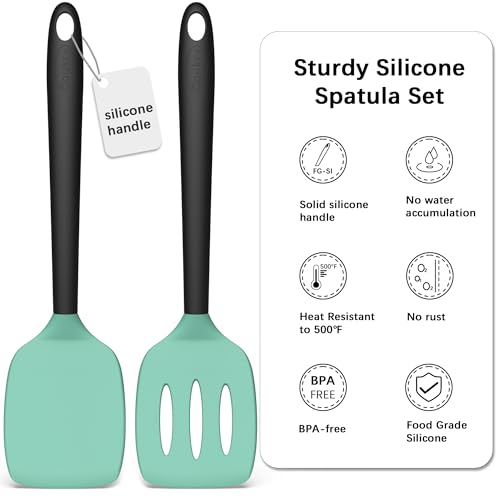 2 Pack Silicone Spatula Set (AquaGreenBlack)