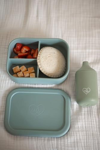 Kids Bento Box