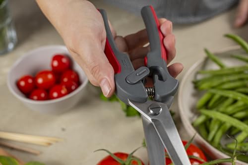 Pro Kitchen Shears (Pro Kitchen Shears)