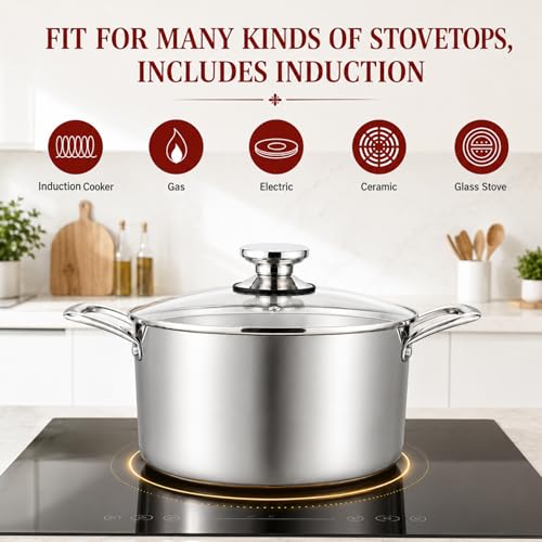 6 Quart Stock Pot (6 Quarts)