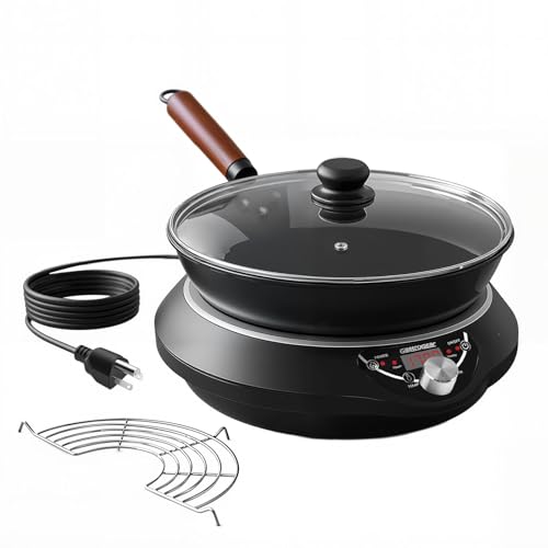 1700W Induction Wok Burner 100