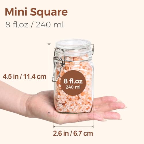 Square Glass Spice Jars 8 oz 12 Pack with Labels and Funnel Set (12 Count)