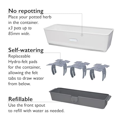 Burwell Self Watering Potted Herb Keeper (Triple Fresh Herb Keeper)