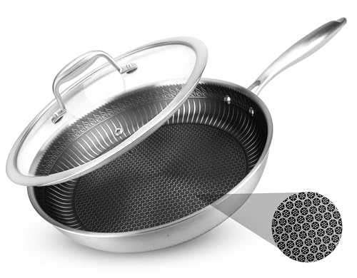 12" Stainless Steel Frying Pan with Lid (12" Frying pan / Stainless Steel)