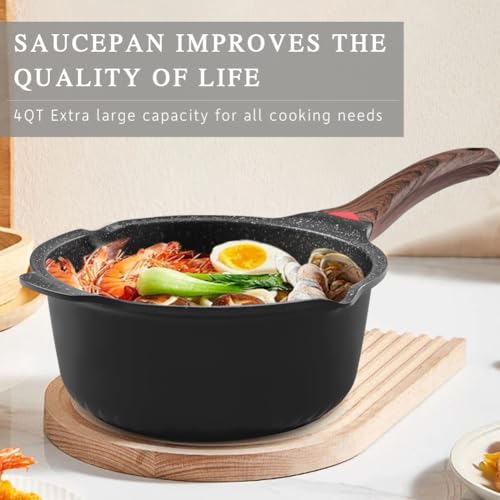 4QT Nonstick Stockpot with Lid (Black / 4 Quarts)
