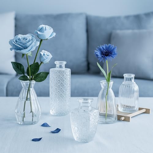 Glass Bud Vase Set of 12 Pcs