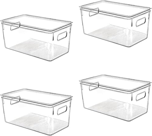 Clear Plastic Storage Bins with Lids (10 X 6 X 5)