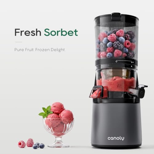 3-in-1 Cold Press Juicer C16, Makes Juice & Sorbet & Nut Milk (Space Gray)