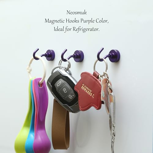 Magnetic Hooks (12 Count)
