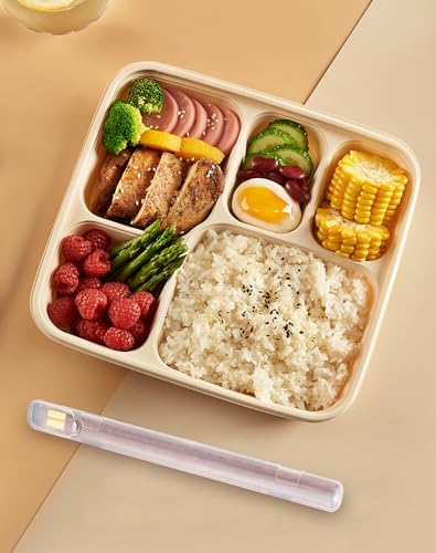 Chopsticks Storage Case 2 Pack (2 Count)