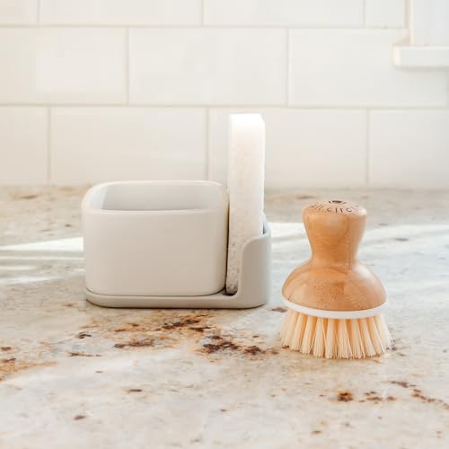 Bubble Up Dish Brush Set for Kitchen