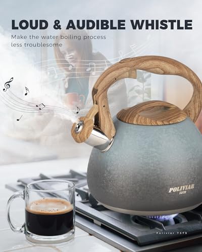 POLIVIAR Tea Kettle (2.7 Quarts / Crackle-Seabed)
