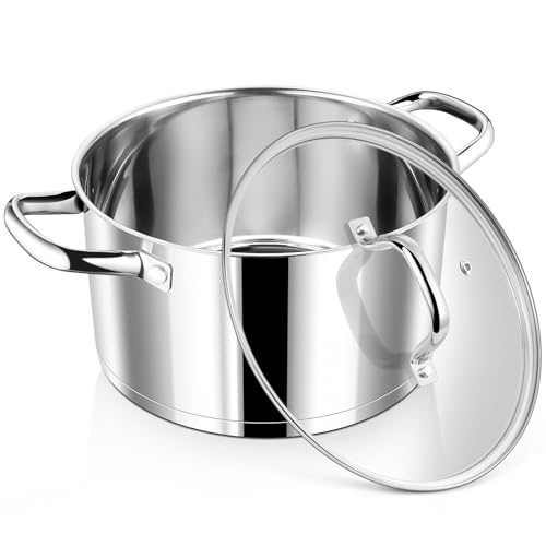 6 Quarts Stock Pot with Lid (6 Quarts)