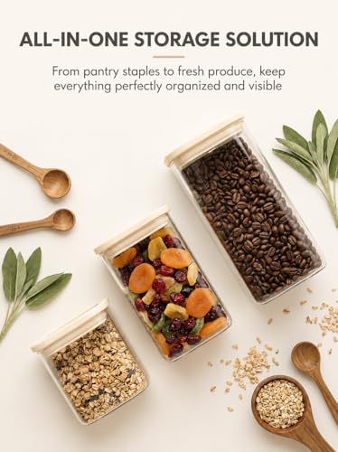 12 Pack Square Glass Pantry Storage Containers Set with Glass Lids (12 Count)