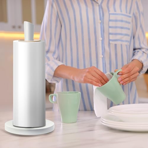 Stainless Steel Paper Towel Holder (White Stainless Steel)