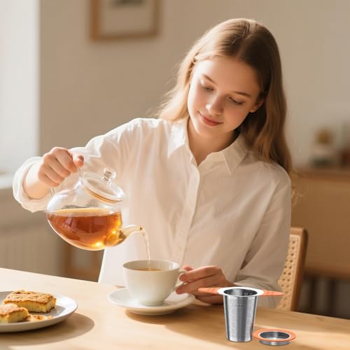 Tea Infuser for Loose Leaf Tea (1 Pack - Sunset Orange)