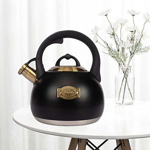 Tea Kettle for Stovetop (Black)