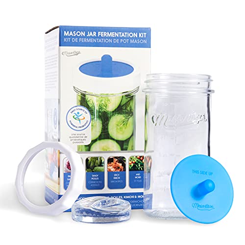Fermentation Jar Starter Set (Wide Mouth With Jar)