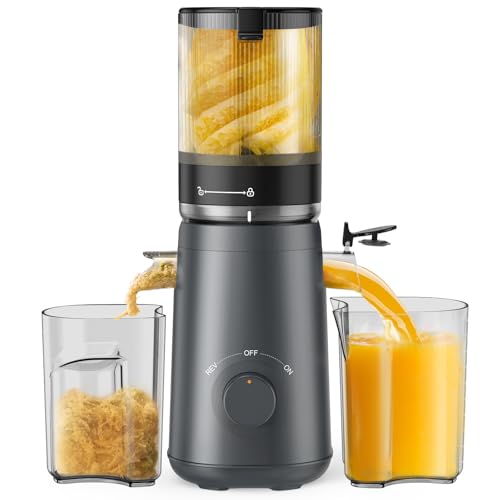 Cold Press Juicer Machine (Grey)