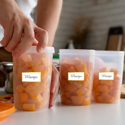 300 Golden Border Removable Freezer Labels Water Oil Resistant with Perforation Line for Food Containers Jars Pantry Organization (Gold-300 / 1” x 2”)
