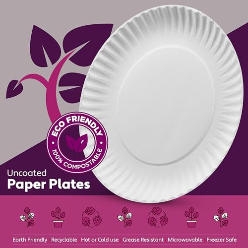 500 Uncoated Paper Plates 9 Inch (9 Inch)