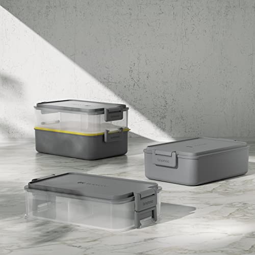 Stackable 2 Tier Adult Bento Box