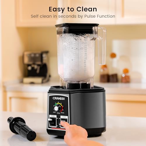 Commercial Blender for Crushing Ice (Grey)